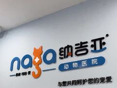 -纳吉亚猫专科动物诊疗中心(蒋宅口分院)