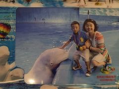 -多彩贵州城极地海洋世界