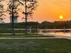 -春花秋色城市公园