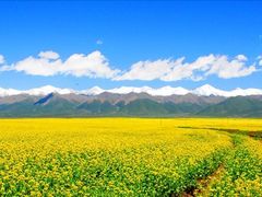 -青海湖国家重点风景名胜区