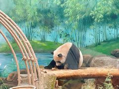 -杭州动物园