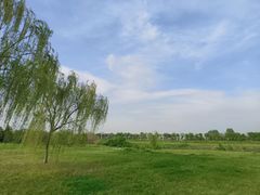 -洨河生态公园
