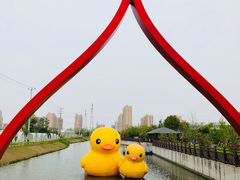 -菊园百果园
