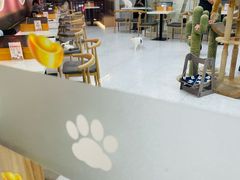 -喵园·猫主题咖啡厅·撸猫·猫咖(国贸店)