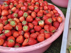 -南坛综合农贸市场