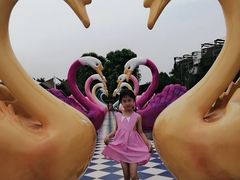 -百万葵园