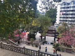 -乌山风景区