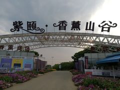 -紫颐香薰山谷景区