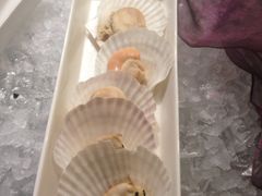 扇贝-伯豪瑞廷酒店-天伦阁西餐厅