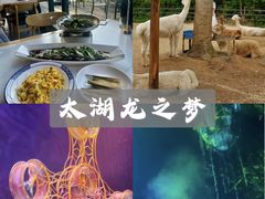 -南浔古镇