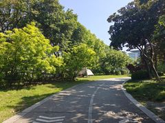 -尚贤河湿地