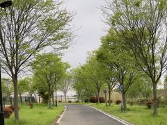 -莲花岛景区