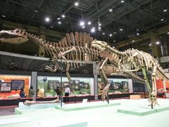 -国家自然博物馆