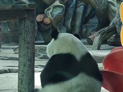 -武汉动物园