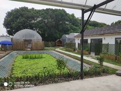 -美家乐农庄·露营·团建(大治路店)