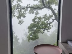 -城外有星光桥舍(南山店)