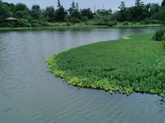 -桤木河湿地公园