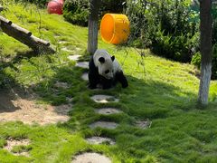 -西霞口神雕山野生动物世界