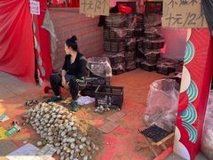 -南翠屏公园