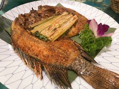 -紫滇源云南生态菜(丹凤街店)