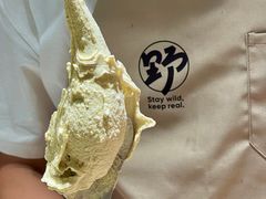 -野人先生Gelato(上海长宁龙之梦店)