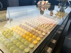 -BLACKSWAN黑天鹅(环球店)