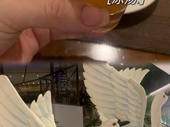 -白天鹅宾馆·流浮阁咖啡厅