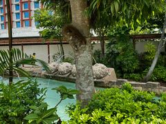 -新加坡水上探险乐园