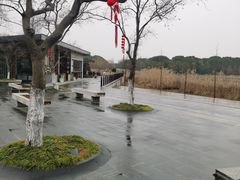 -昆山城市生态森林公园