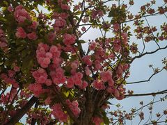 -贵阳市花溪国家城市湿地公园