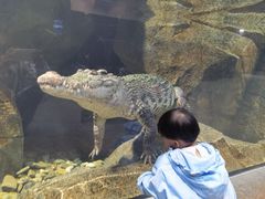 -哈尔滨波塞冬海底世界