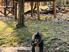 -常州淹城野生动物世界