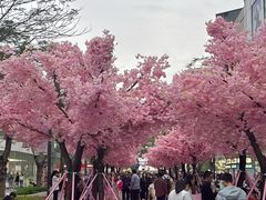 -东莞松山湖万象汇