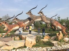 -武清南湖绿博园