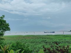 -上海吴淞炮台湾国家湿地公园