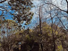 -云碧峰国家森林公园