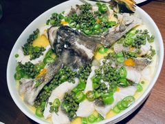 青青椒麻龙胆鱼-CHIC1699远洋私厨