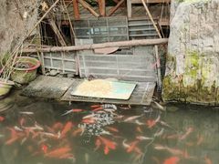-第五季龙水凤港生态露营农场