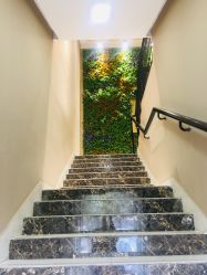 -星豆豆儿童摄影(南郊太白南路店)