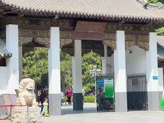-团结湖公园