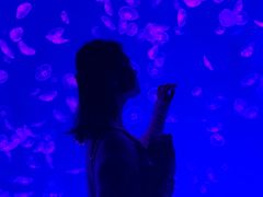 -波塞冬旅游度假区