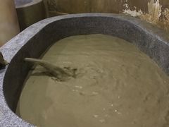-加林娜泥浴水疗