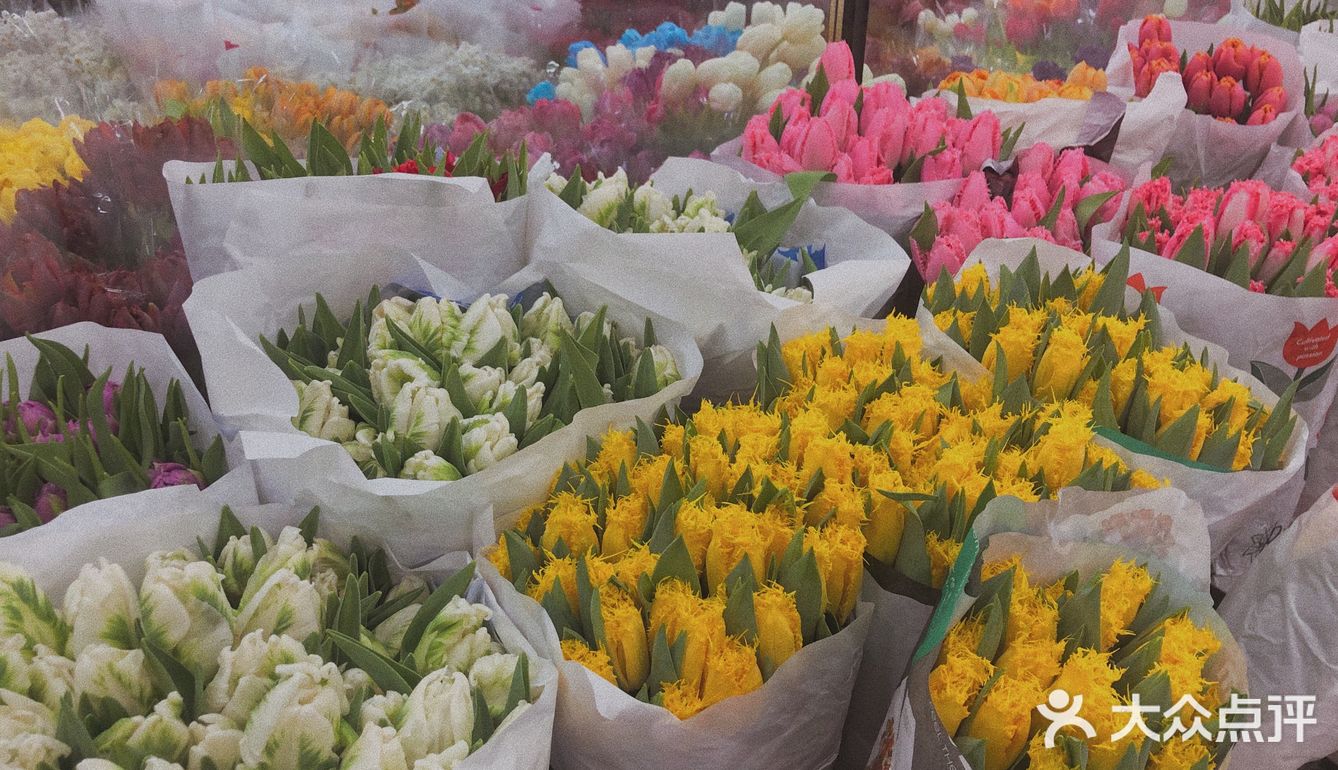 北京花卉市场盛华宏林花鸟厅