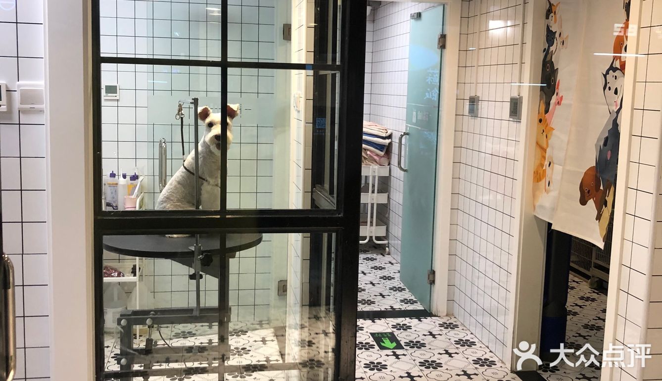 小小香宠 宠爱我们每个宝宝