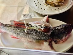 鲈鱼-黄寺蒸汽海鲜(黄寺大街店)