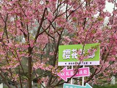 -凤凰沟景区