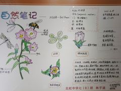 -上海昆虫博物馆