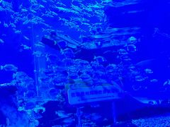 -多彩贵州城极地海洋世界