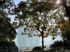 -橘子洲景区