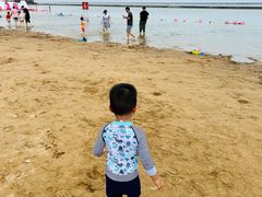 -碧海金沙